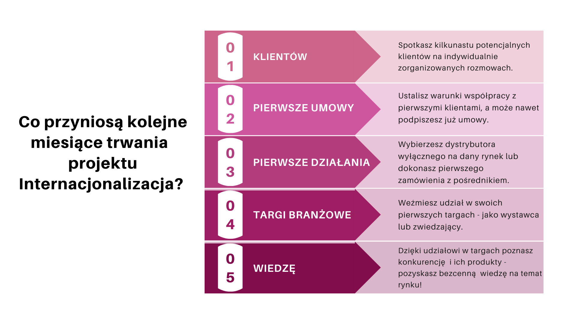 Niebieska i Biała Krok Po Kroku Proces Wykres Prezentacja 2